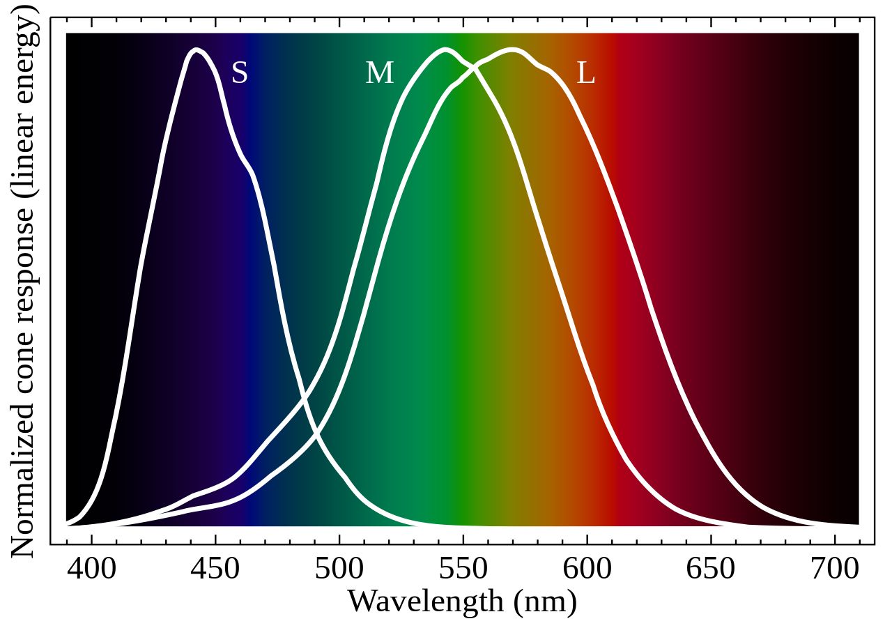 Color spectrum showing the S, M and L wavelengths